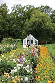 a garden filled with lots of flowers next to a small white house in the background