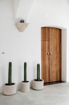 three large cactus plants in white planters next to a wooden cabinet and cupboard on the wall