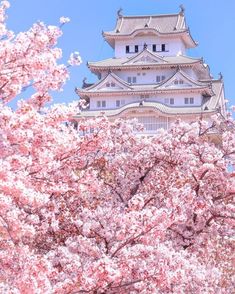 a tall white building surrounded by cherry blossoms in front of a tree with lots of pink flowers