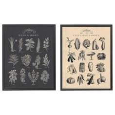 two books with illustrations of vegetables and plants on the covers, one in black and white