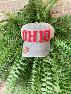 a baseball cap with the word ohio on it is hanging from a fern bush in front of a brick wall