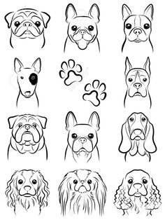 the dog's faces are drawn in black and white