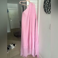 a pink dress hanging on a hanger next to a black and white dog laying down