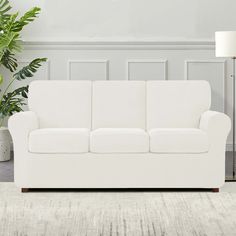 a white couch sitting next to a plant in a living room