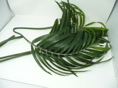 a bunch of green leaves laying on top of a white surface