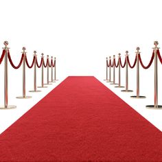 a red carpet is lined up with silver poles and ropes to be used as an entrance way