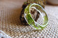 two rings sitting on top of a table next to a piece of wood with moss growing in it