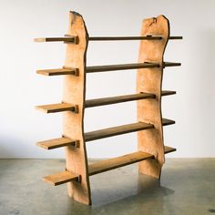 a book shelf made out of wood with multiple shelves on each side and one section holding books