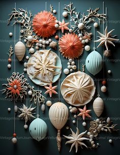 an assortment of sea shells and corals hanging from strings