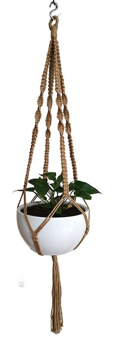 a hanging planter with plants in it