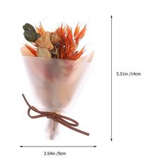 a bouquet of dried flowers tied to a white wall with measurements for the size and length