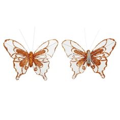 two orange and white butterflies on a white background