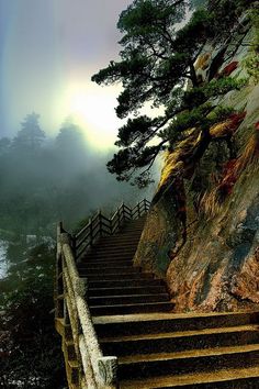 stairs leading up to the top of a cliff with trees growing on it and fog in the background