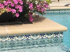 purple flowers are growing on the edge of a swimming pool