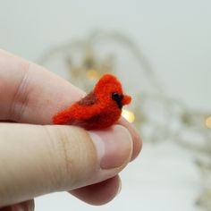 a tiny red bird sitting on top of someone's finger