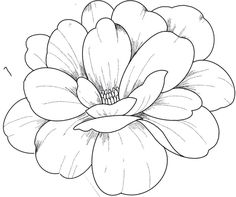 a drawing of a flower that is in black and white