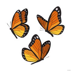 three orange butterflies flying side by side