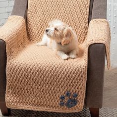 a small dog sitting on top of a chair covered in a crochet blanket