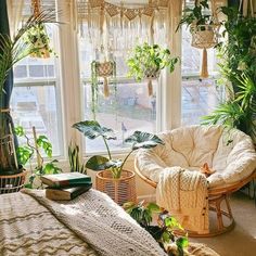 a living room filled with lots of potted plants and greenery on the windowsill