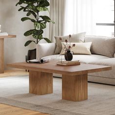 a living room filled with furniture and a large potted plant on top of a coffee table