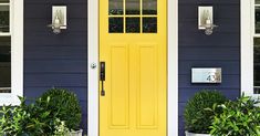 a yellow front door on a blue house with potted plants in the foreground