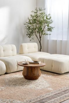 a living room with white couches and a tree in the corner on the rug