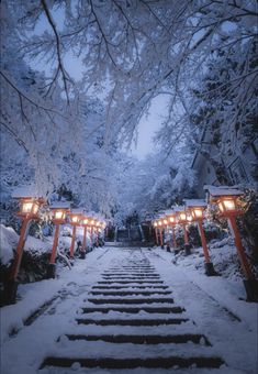 the steps lead up to an outdoor shrine covered in snow and lit by lanterns at night