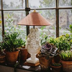 a lamp sitting on top of a window sill next to potted succulents