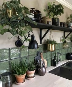 a kitchen with green tiles and potted plants on the shelves above the stove top