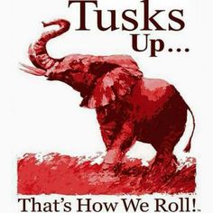 an elephant with tusks up that's how we roll poster on it