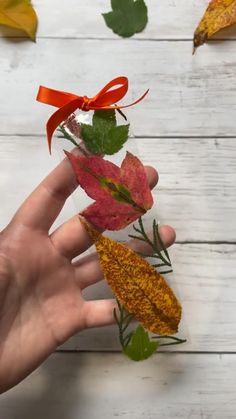 a hand is holding some autumn leaves with a red bow on it and another leaf in the background