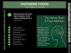 Dopamine Foods, Dopamine Deficiency, Increase Dopamine Naturally, Fitness Sayings, Increase Dopamine, Brain Activity, Group Therapy, Behavioral Health