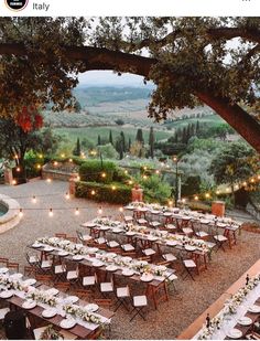 an outdoor dining area with tables and chairs set up for dinner under a tree, surrounded by greenery