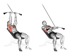 an image of a man doing exercises on the back with barbells and squats