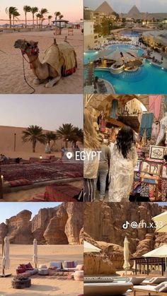 the desert is filled with many different types of things to see and do in it