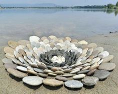 there is a large flower made out of rocks on the sand by the water's edge