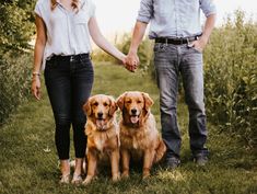 a man and woman holding hands with two dogs