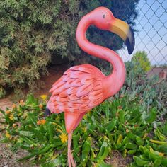 a pink flamingo standing on top of a lush green field next to a fence