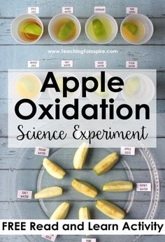 Apple Science Experiments, Science Fair Experiments, Vetenskapliga Experiment, Fall Science, Science Experiment For Kids, Science Reading, Reading Activity