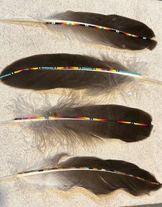 three feathers that are laying on the ground