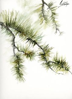 watercolor painting of pine tree branches with white sky in the backgrounnd