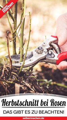 a person holding a pair of pliers in their hand with the words herbstult bei flossen