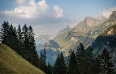 the mountains are covered in green grass and pine trees, with some clouds above them