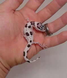 a small toy gecko sitting on top of someone's hand