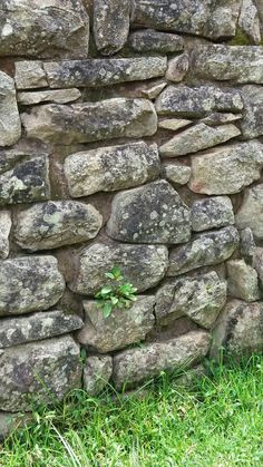 a stone wall with grass growing between it