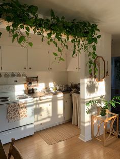 a kitchen with white appliances and lots of green plants hanging from the ceiling over the stove