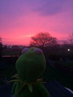 a green stuffed animal sitting in front of a pink and purple sky at night with the sun setting