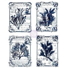 four blue and white sea plants on paper