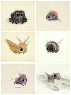 four pictures of different types of animals