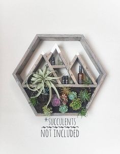 succulents are not included in this hexagonal shelf